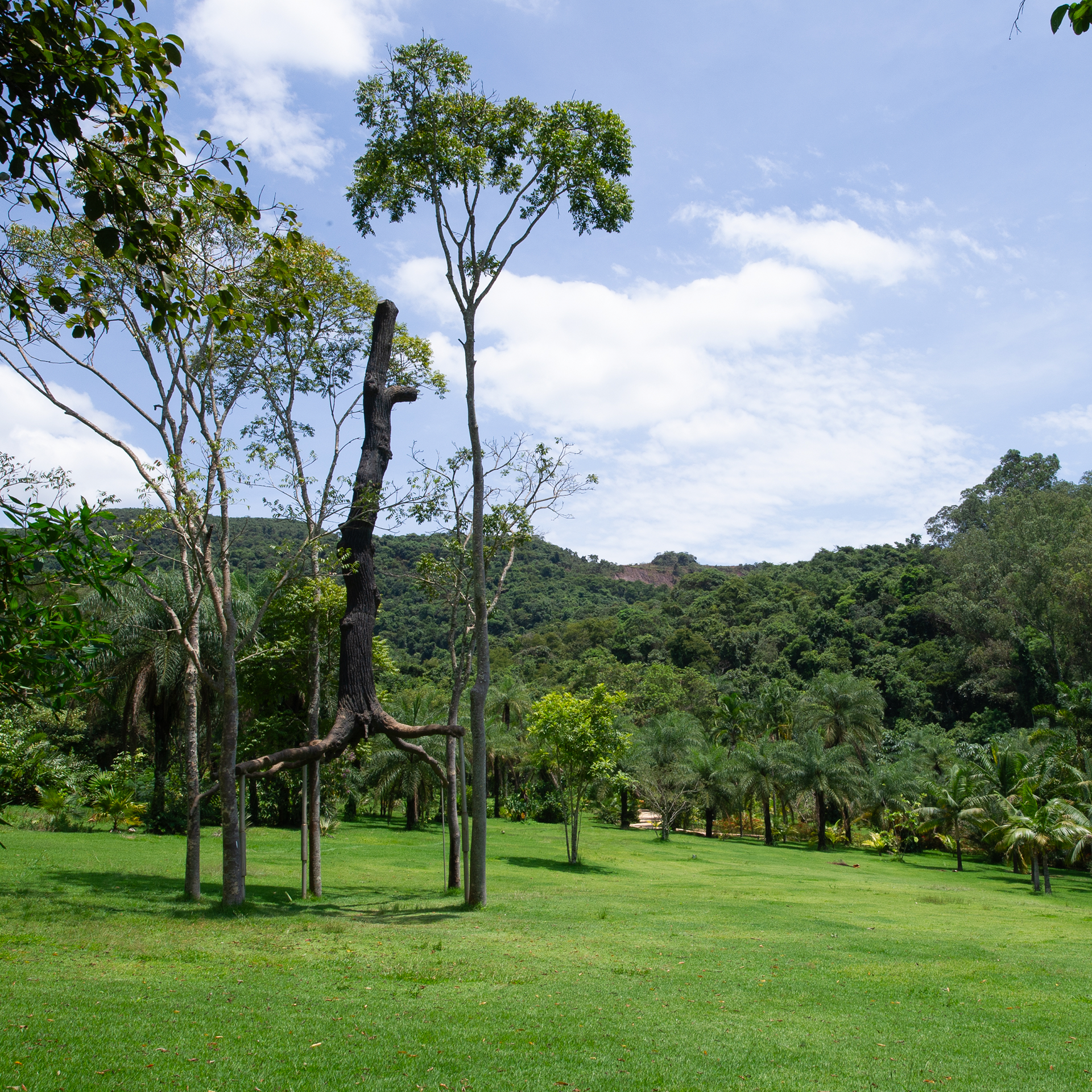 Máximo Soalheiro apresenta instalação-concerto concebida a partir mais de 20 anos de pesquisa. Foto: Ana Clara Martins