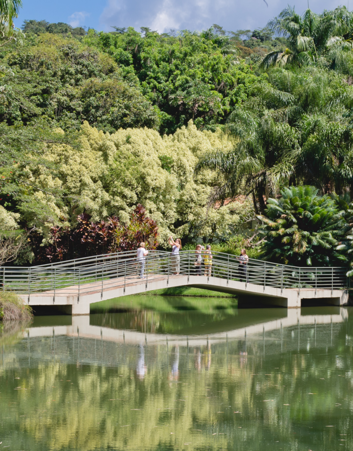  Em julho, Inhotim abre as portas com seu primeiro festival de música, exposições, oficinas e mais. Retire seu ingresso. Foto: William Gomes