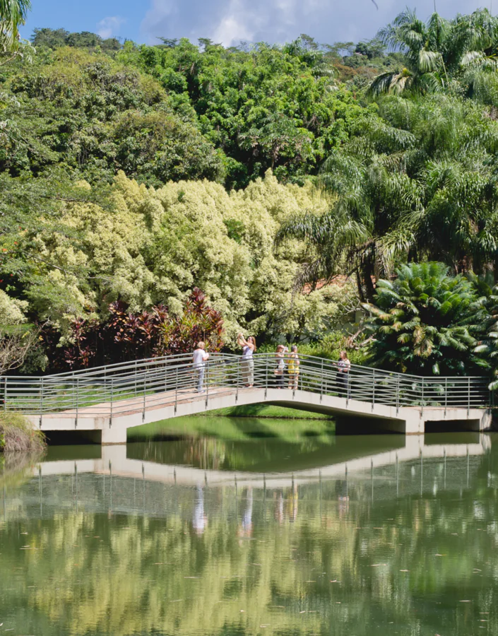  Em julho, Inhotim abre as portas com seu primeiro festival de música, exposições, oficinas e mais. Retire seu ingresso. Foto: William Gomes