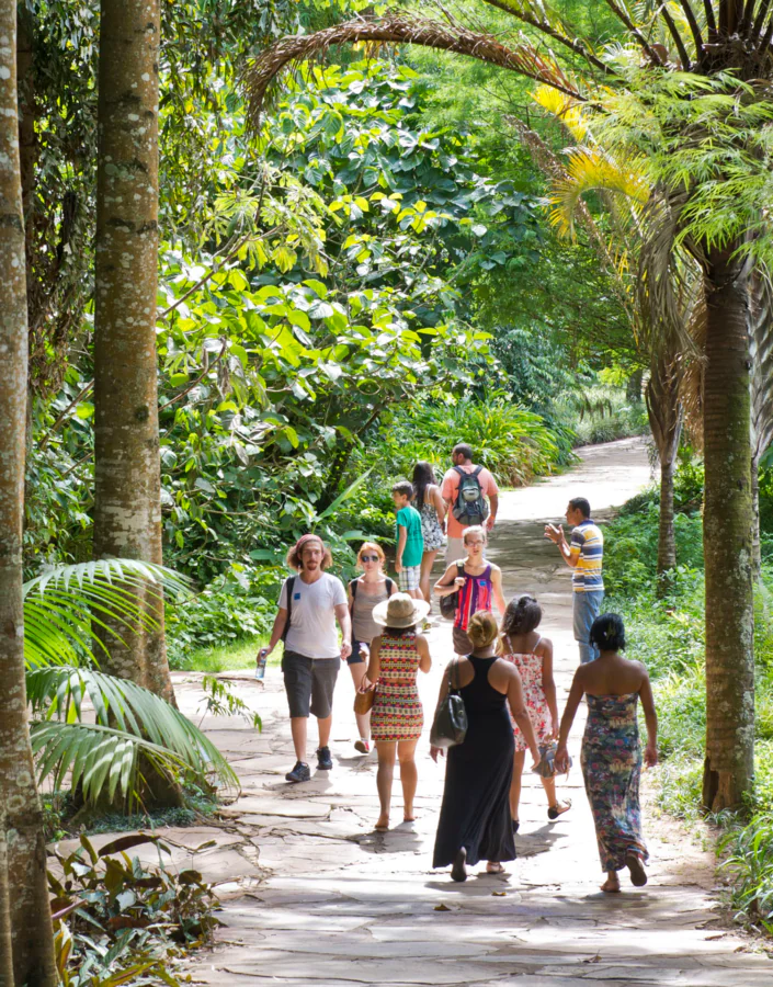 Programa leva moradores e moradoras de Brumadinho para participar do festival Jardim Sonoro. Foto: Rossana Magri