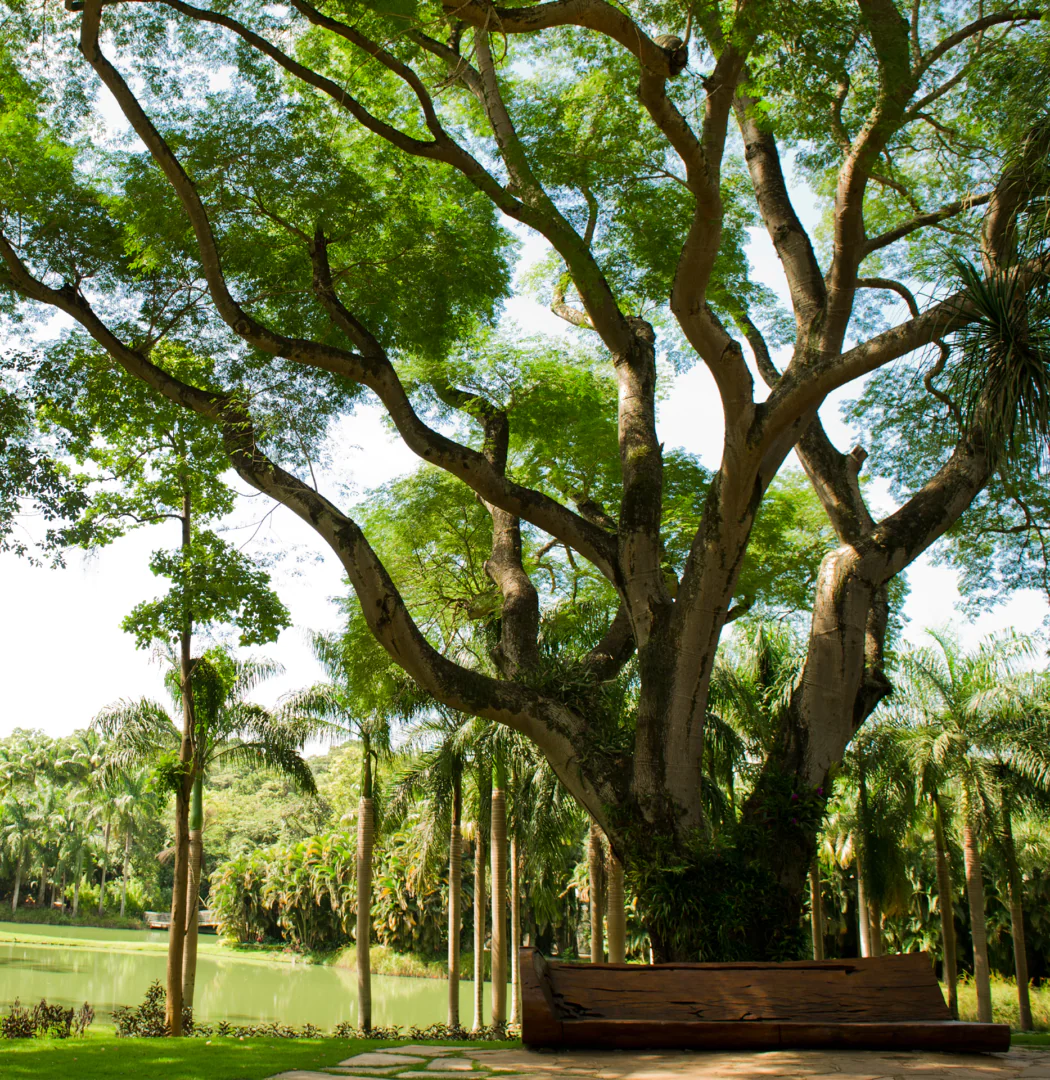 Participe das visitas temáticas do Inhotim. Elas são gratuitas para visitantes e destinadas a pessoas de todas as idades. Foto: Participe das visitas temáticas do Inhotim. Elas são gratuitas para visitantes e destinadas a pessoas de todas as idades. Foto: William Gomes