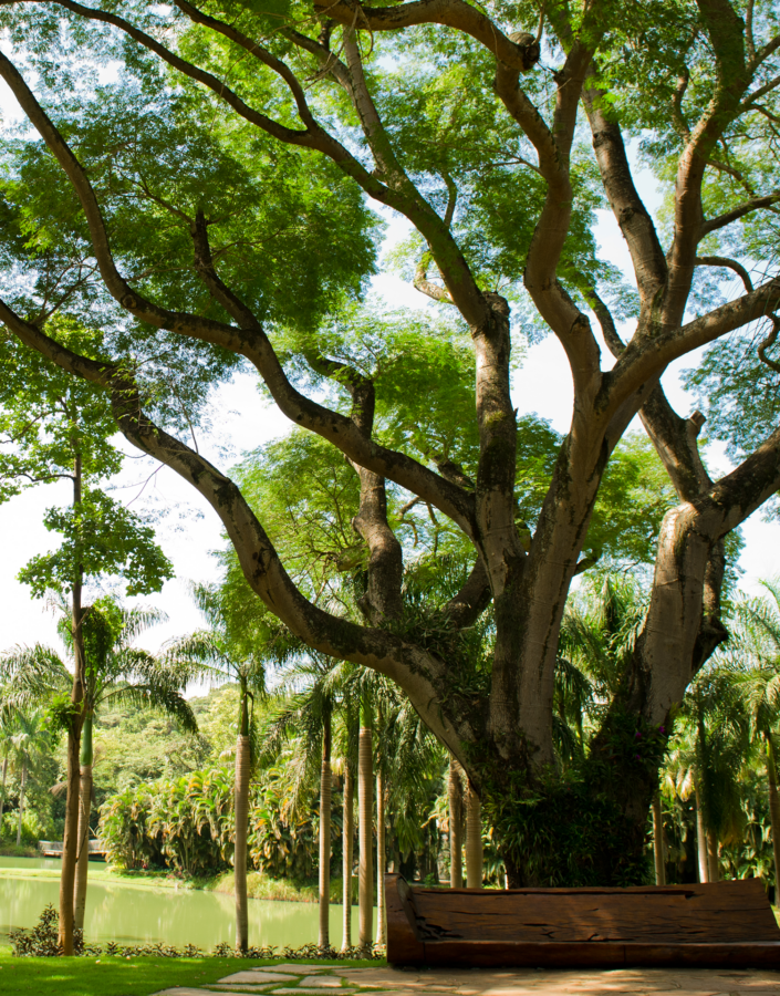 Participe das visitas temáticas do Inhotim. Elas são gratuitas para visitantes e destinadas a pessoas de todas as idades. Foto: Participe das visitas temáticas do Inhotim. Elas são gratuitas para visitantes e destinadas a pessoas de todas as idades. Foto: William Gomes