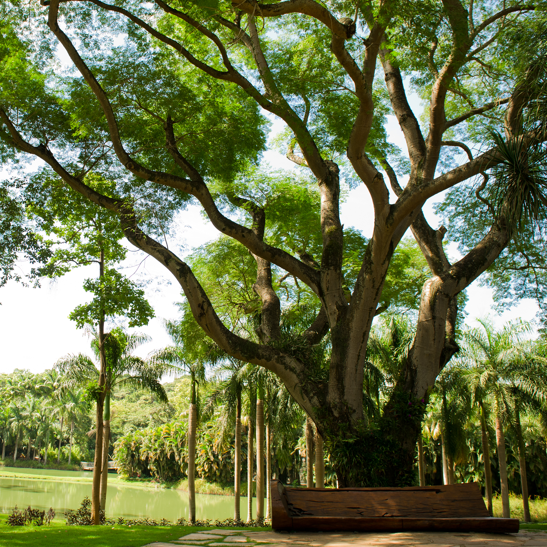 Participe das visitas temáticas do Inhotim. Elas são gratuitas para visitantes e destinadas a pessoas de todas as idades. Foto: Participe das visitas temáticas do Inhotim. Elas são gratuitas para visitantes e destinadas a pessoas de todas as idades. Foto: William Gomes