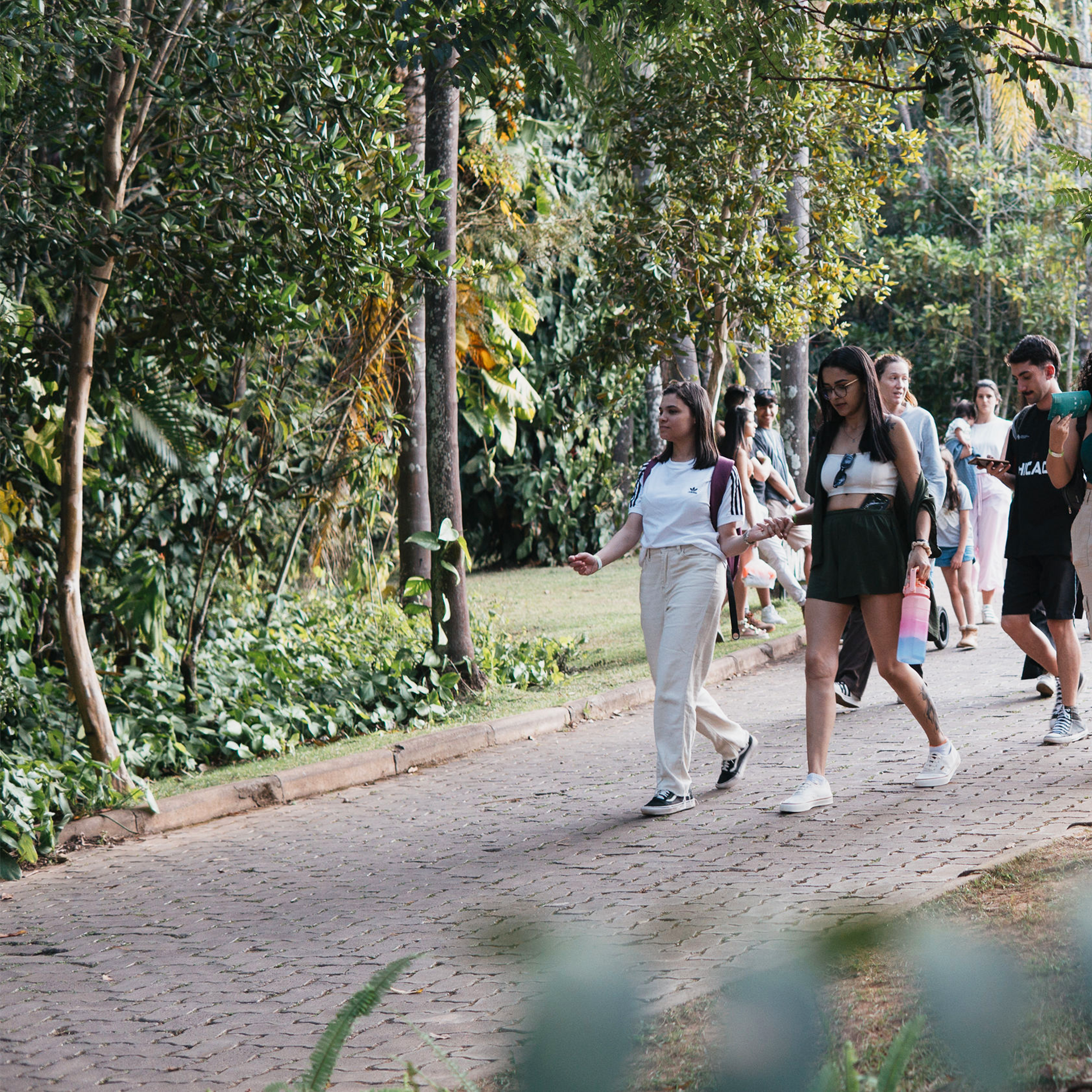 Participe das visitas temáticas do Inhotim. Elas são gratuitas para visitantes e destinadas a pessoas de todas as idades. Foto: William Gomes