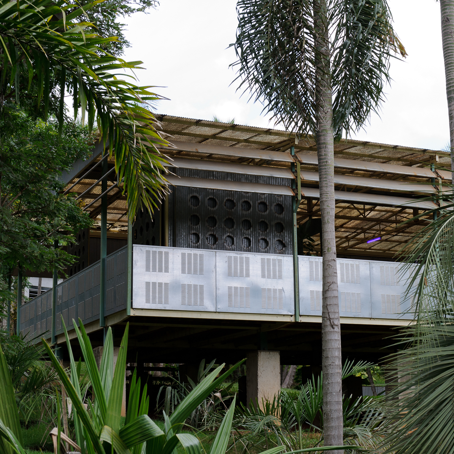 20190122 Palm Pavilion William Gomes-1003