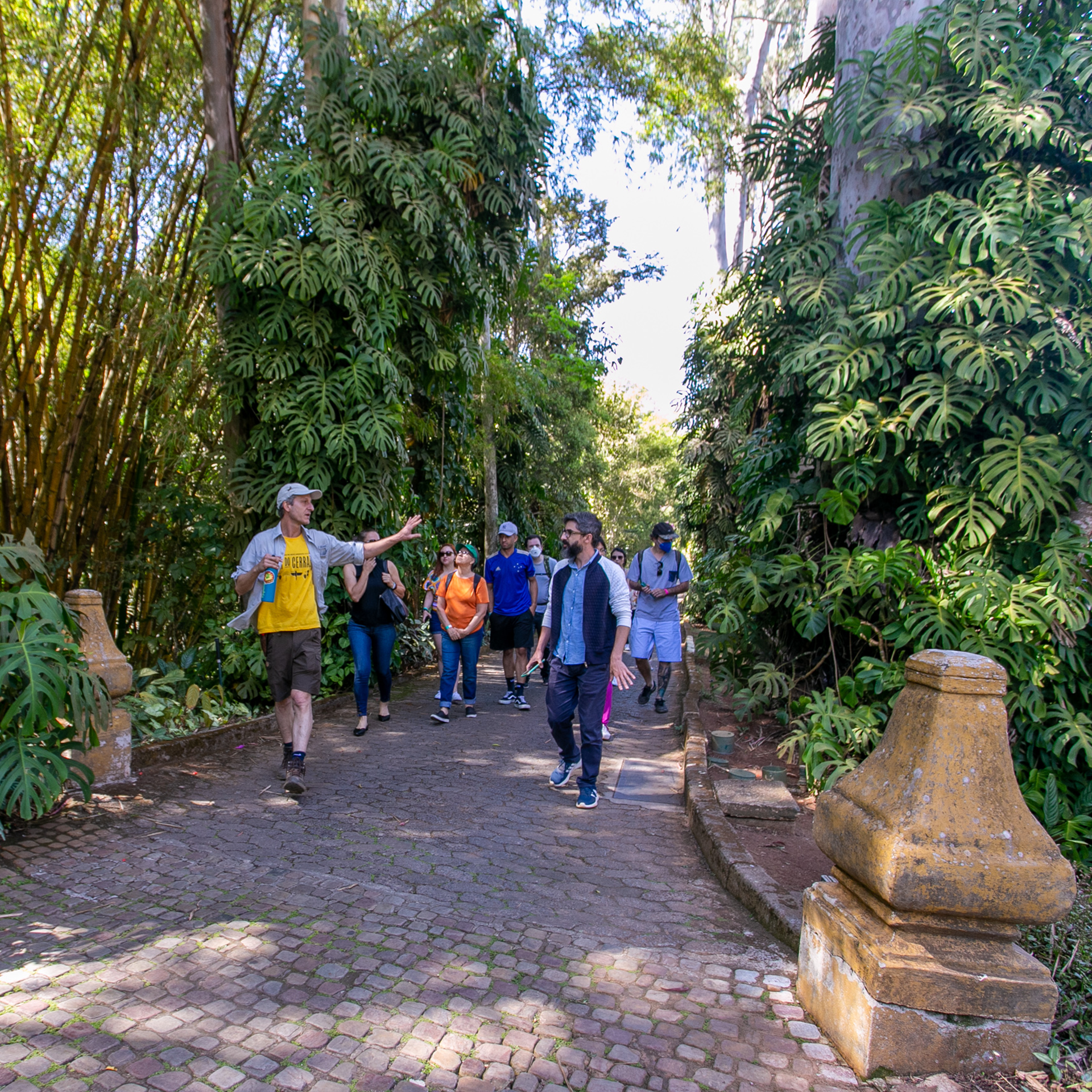 Eventos abordam os biomas brasileiros e a importância dos saberes tradicionais na proteção ambiental. Foto: Glenio Campregher