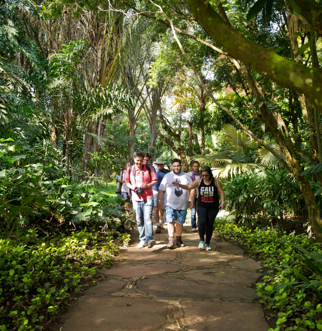 Participe das visitas temáticas do Inhotim. Elas são gratuitas para visitantes e destinadas a pessoas de todas as idades. Foto:  Rossana Magri