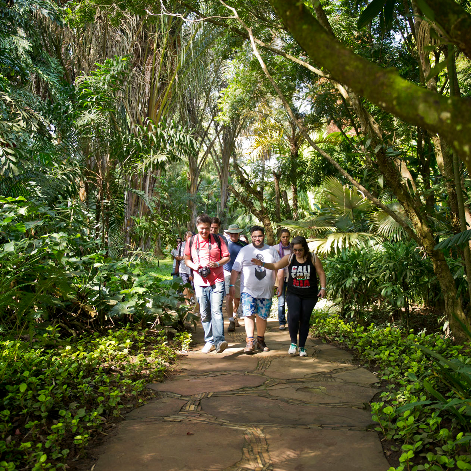 Participe das visitas temáticas do Inhotim. Elas são gratuitas para visitantes e destinadas a pessoas de todas as idades. Foto:  Rossana Magri