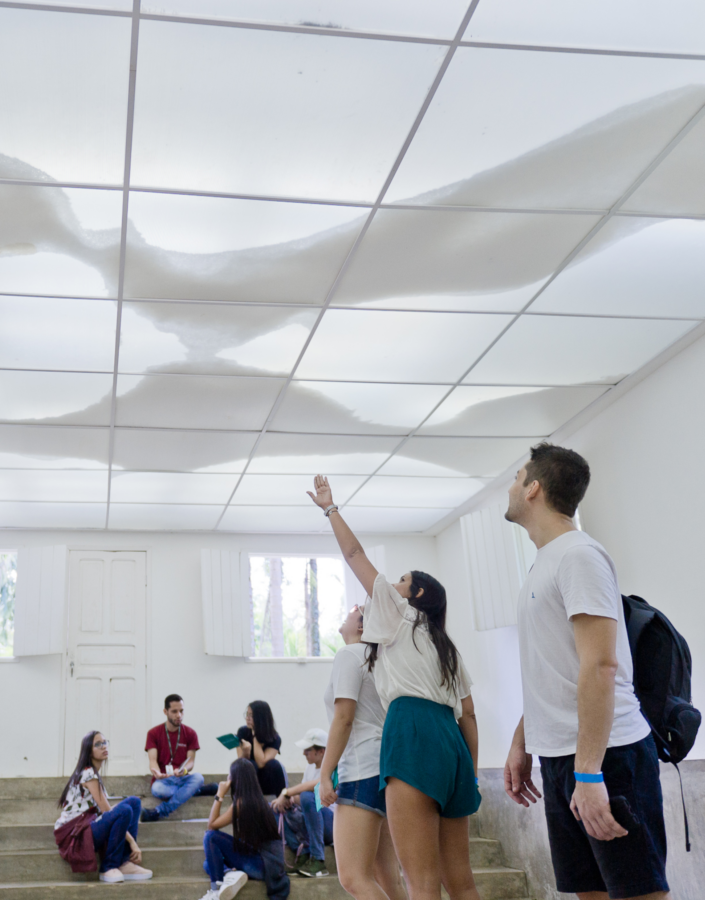 Participe das visitas temáticas do Inhotim. Elas são gratuitas para visitantes e destinadas a pessoas de todas as idades. Foto: Acervo Inhotim