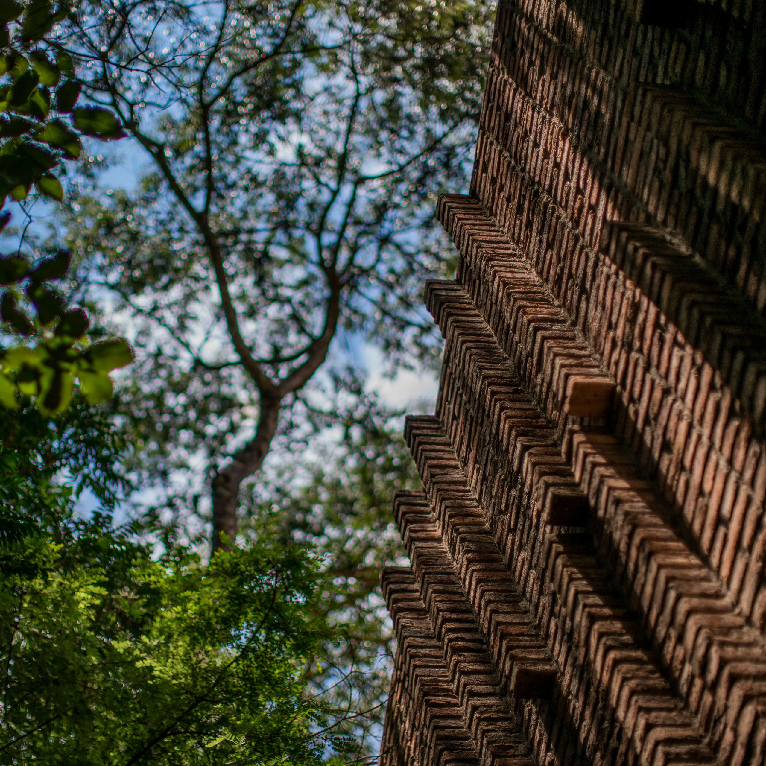 Em abril, conheça a nova exposição do Inhotim, participe da 1ª edição do Experiência Brumadinho e mais. Retire seu ingresso. Foto: João Kehl