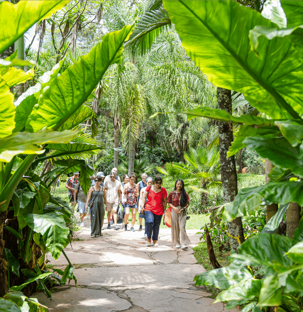 [DES25 DIG] VisitaJulho HOME Site BrendonCampos