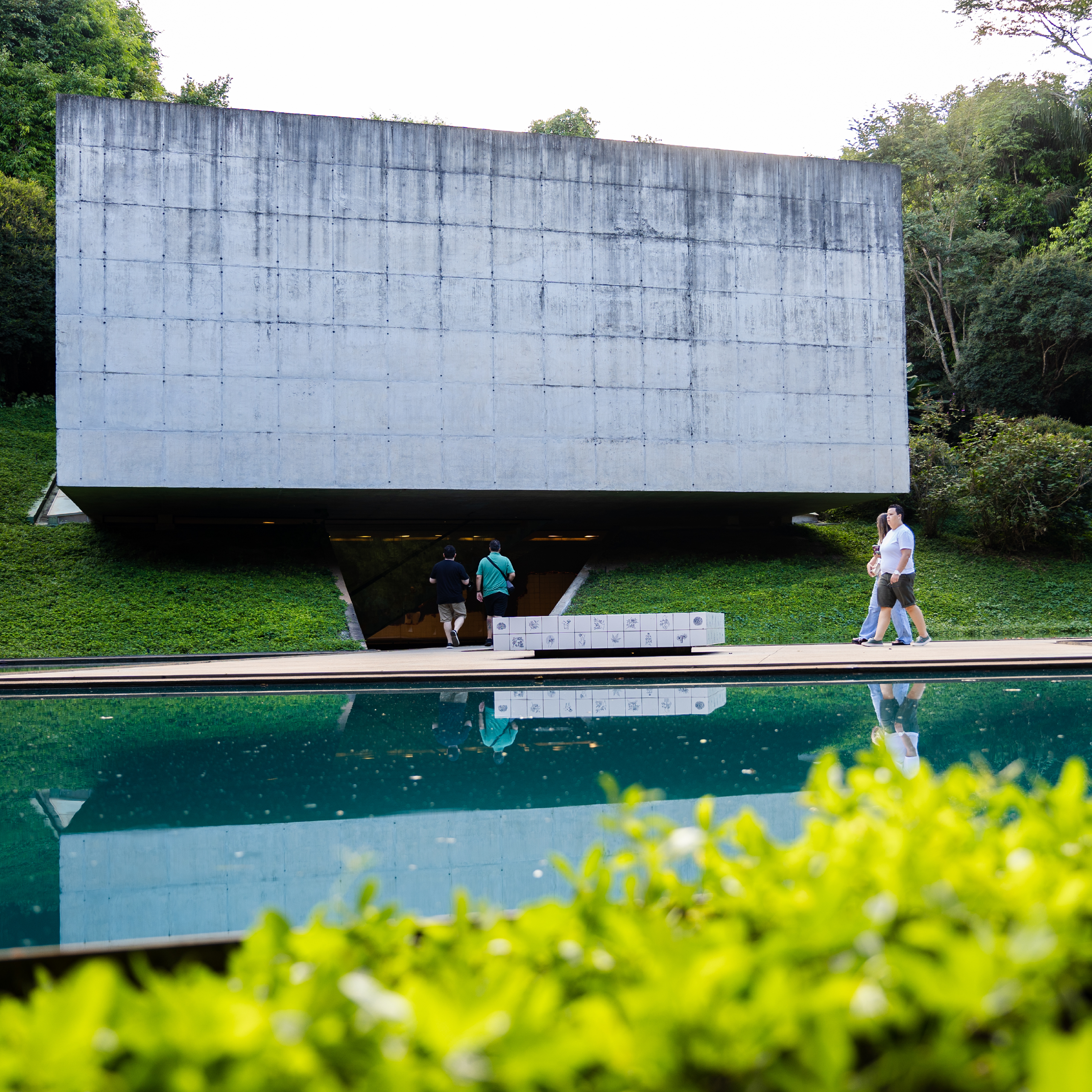 Participe da Visita Temática do Inhotim: gratuita para visitantes e destinada a pessoas de todas as idades. Foto: Brendon Campos