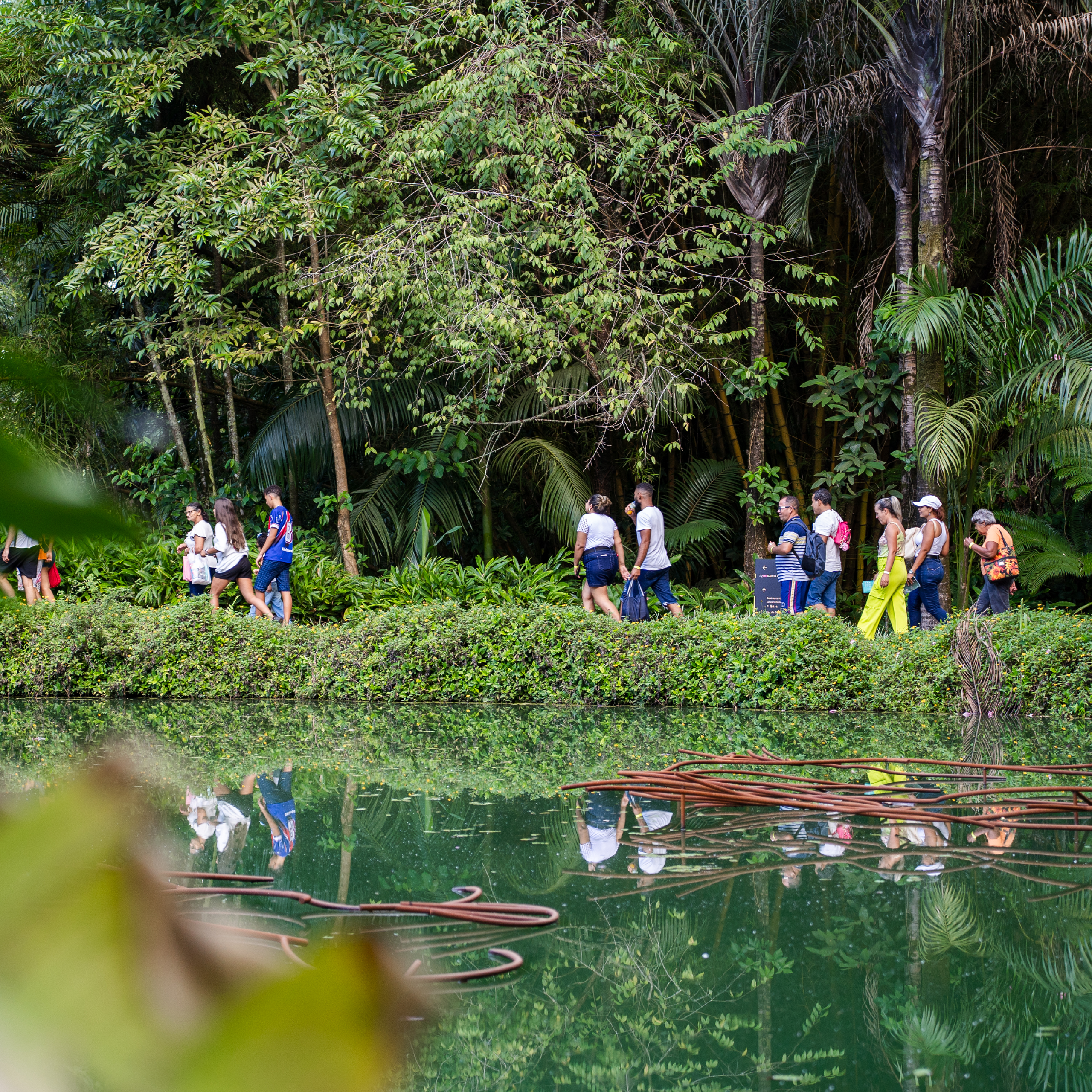 Participe da Visita Temática do Inhotim: gratuita para visitantes e destinada a pessoas de todas as idades. Foto: Brendon Campos