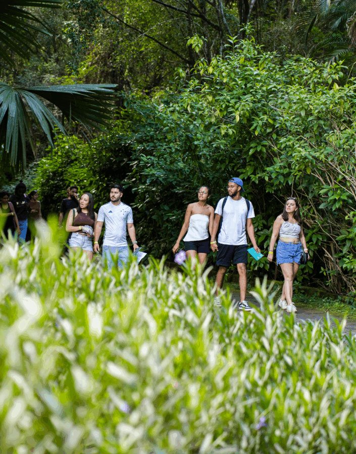 [DES25 DIG] ProximaParadaSET PAGINA Site BrendonCampos