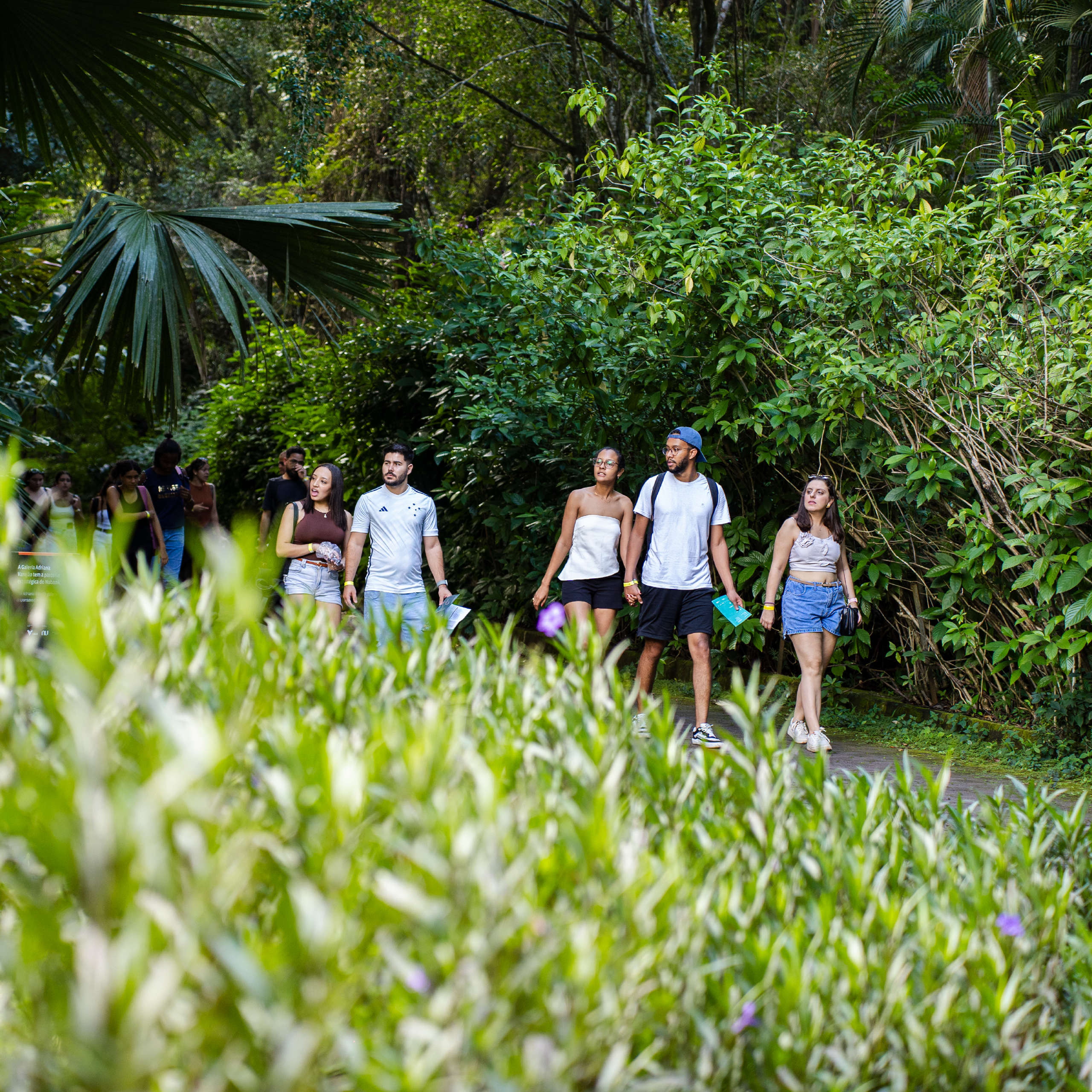 [DES25 DIG] ProximaParadaSET PAGINA Site BrendonCampos