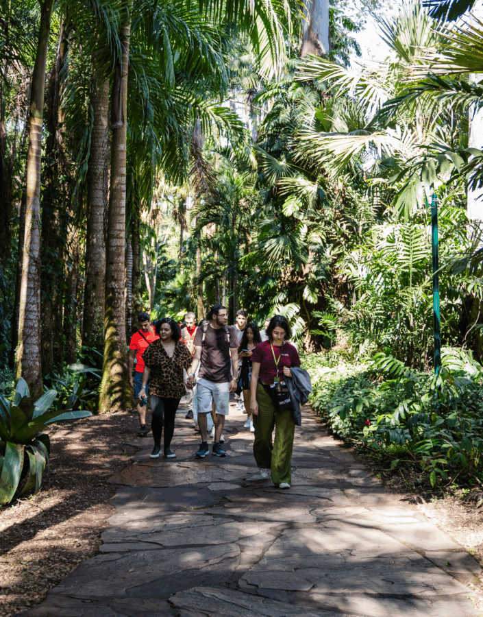 Participe da Visita Temática do Inhotim: gratuita para visitantes e destinada a pessoas de todas as idades. Foto: Brendon Campos