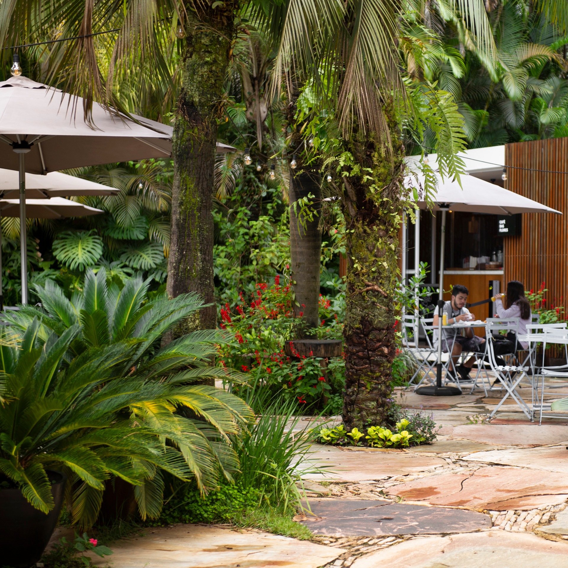 Café das flores c visitantes Brendon 02