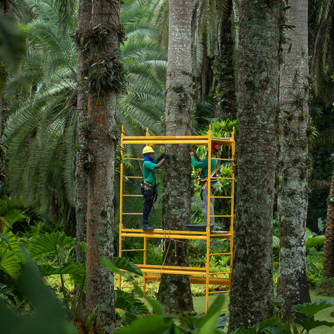 quem somos inhotim 2