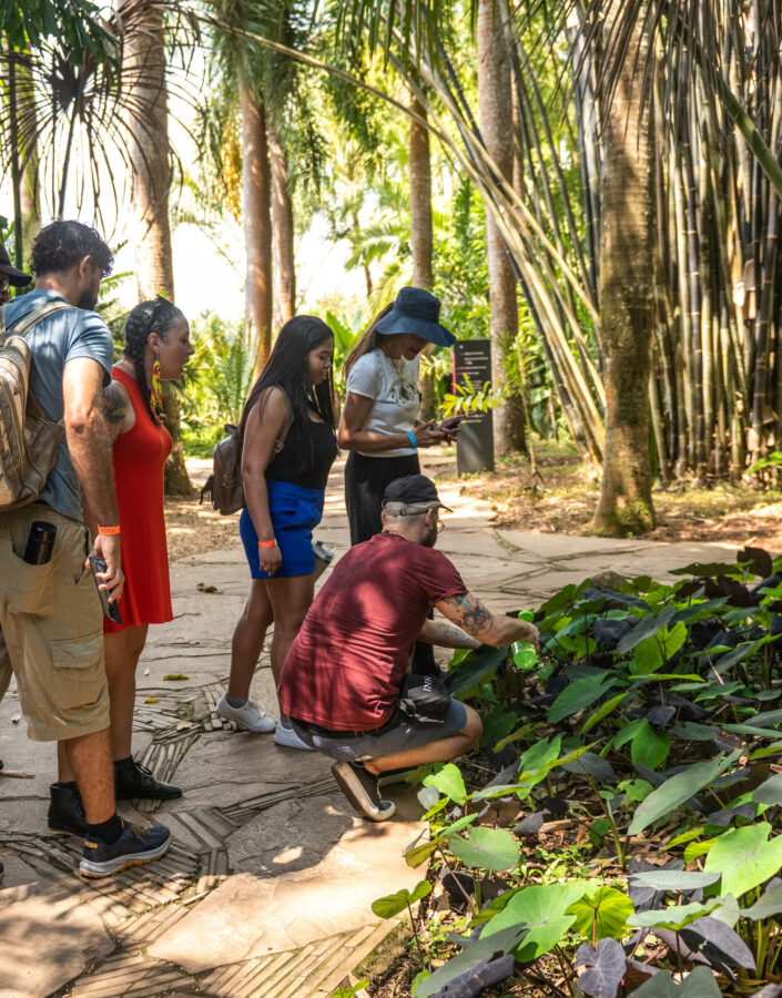 O Ateliê Circulante convida para atividades em diferentes pontos do Inhotim, experimentando a arte e natureza. Foto: Daniela Paoliello