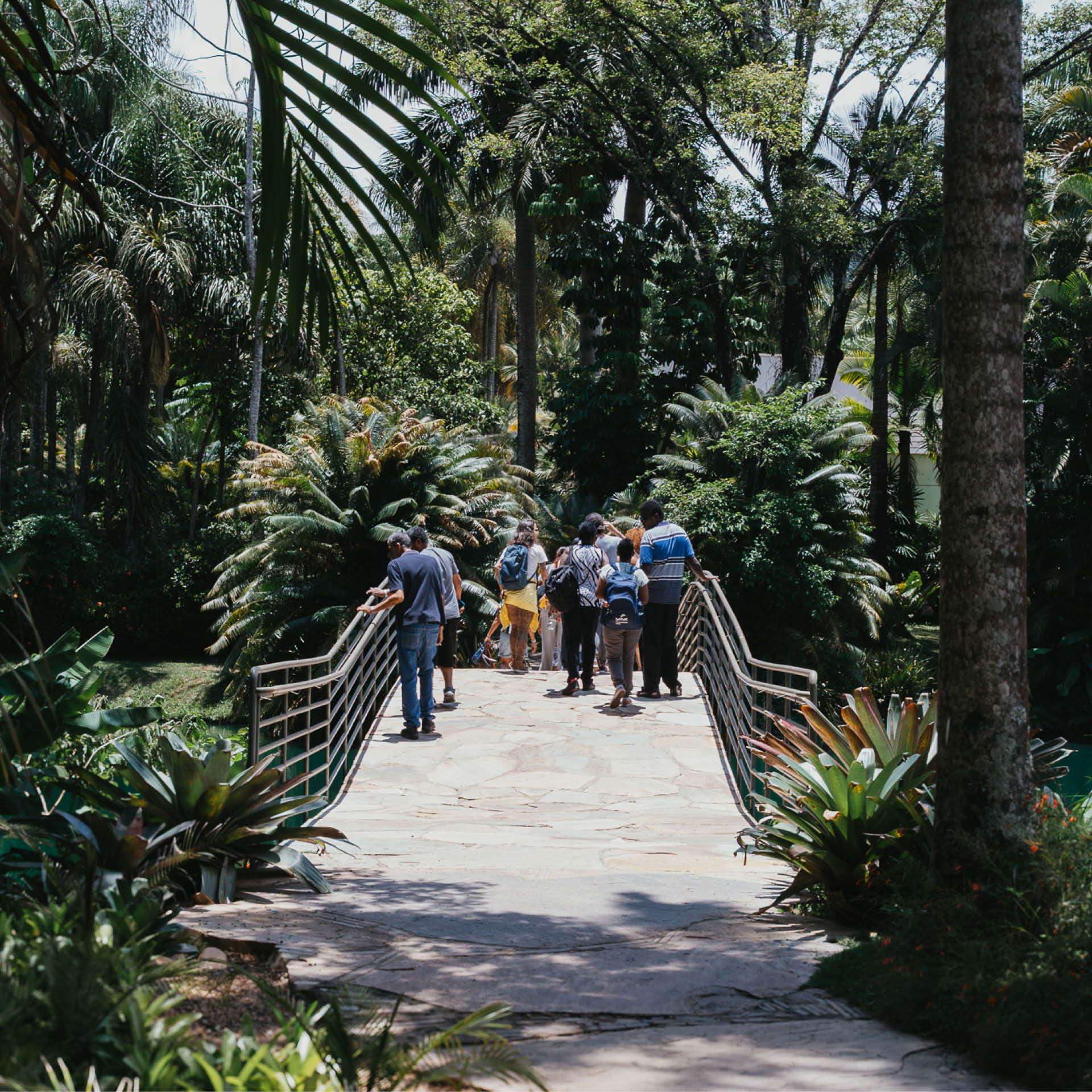 Em janeiro, percurso sonoro ancestral de Renata Tupinambá, oficinas e Conversas sobre o Acervo no Inhotim. Foto: William Gomes